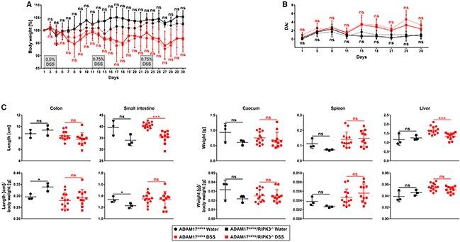 https://cdn.ncbi.nlm.nih.gov/pmc/blobs/96d4/5849186/124a4b1a481c/oncotarget-09-12941-g004.jpg