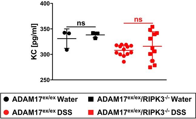 https://cdn.ncbi.nlm.nih.gov/pmc/blobs/96d4/5849186/b2d7c65a2a3d/oncotarget-09-12941-g006.jpg