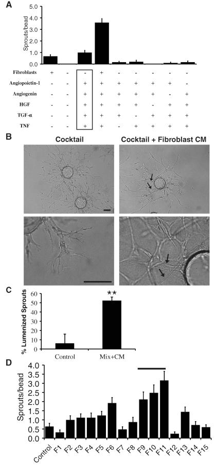 https://cdn.ncbi.nlm.nih.gov/pmc/blobs/96d5/3192859/997e643a2a5a/3791fig2.jpg