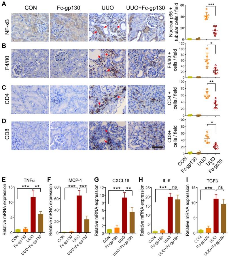 https://cdn.ncbi.nlm.nih.gov/pmc/blobs/96d6/6592178/605e048826ee/thnov09p3980g002.jpg