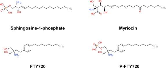 https://cdn.ncbi.nlm.nih.gov/pmc/blobs/96dd/4594675/726a59d28087/jcmm0019-2329-f1.jpg