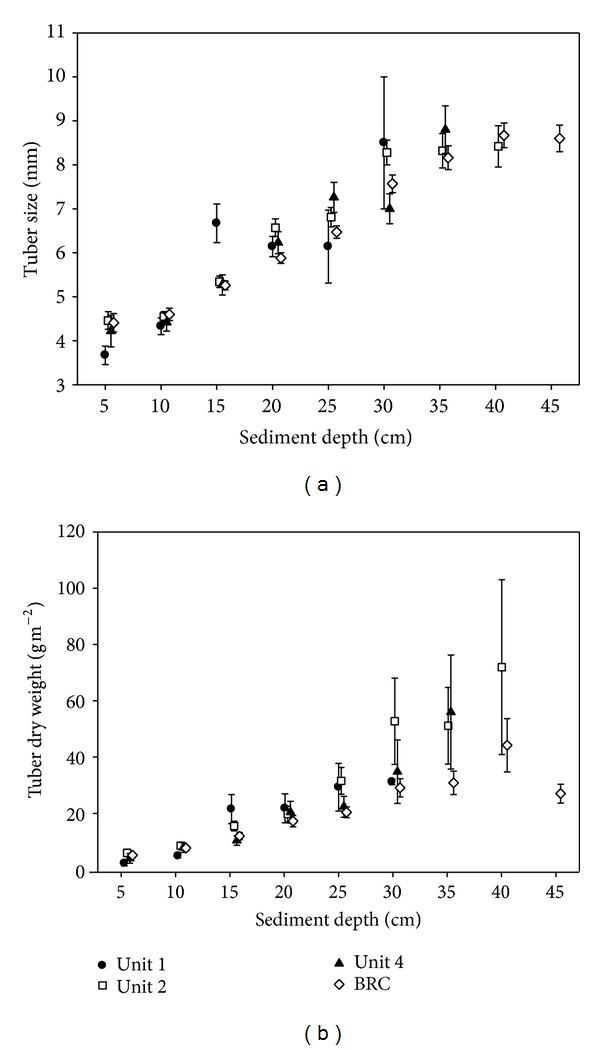 https://cdn.ncbi.nlm.nih.gov/pmc/blobs/96df/3932214/1b050438b7ec/TSWJ2014-643694.002.jpg