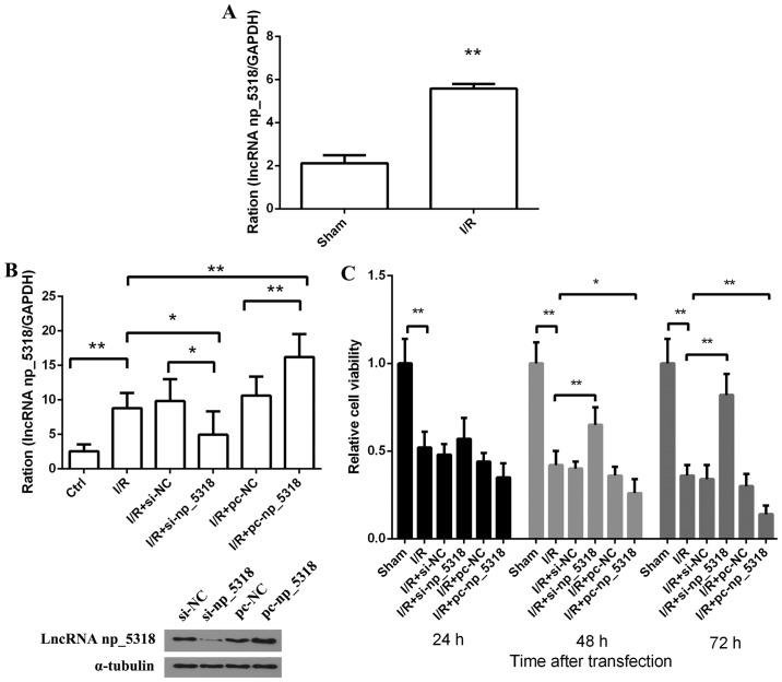 https://cdn.ncbi.nlm.nih.gov/pmc/blobs/96e1/7086211/2a78230b4c1a/etm-19-04-2833-g01.jpg