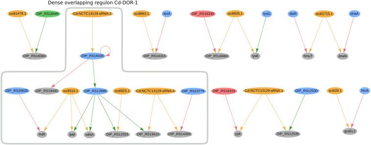https://cdn.ncbi.nlm.nih.gov/pmc/blobs/96e1/8247434/002b569bdfde/fmicb-12-656435-g005.jpg