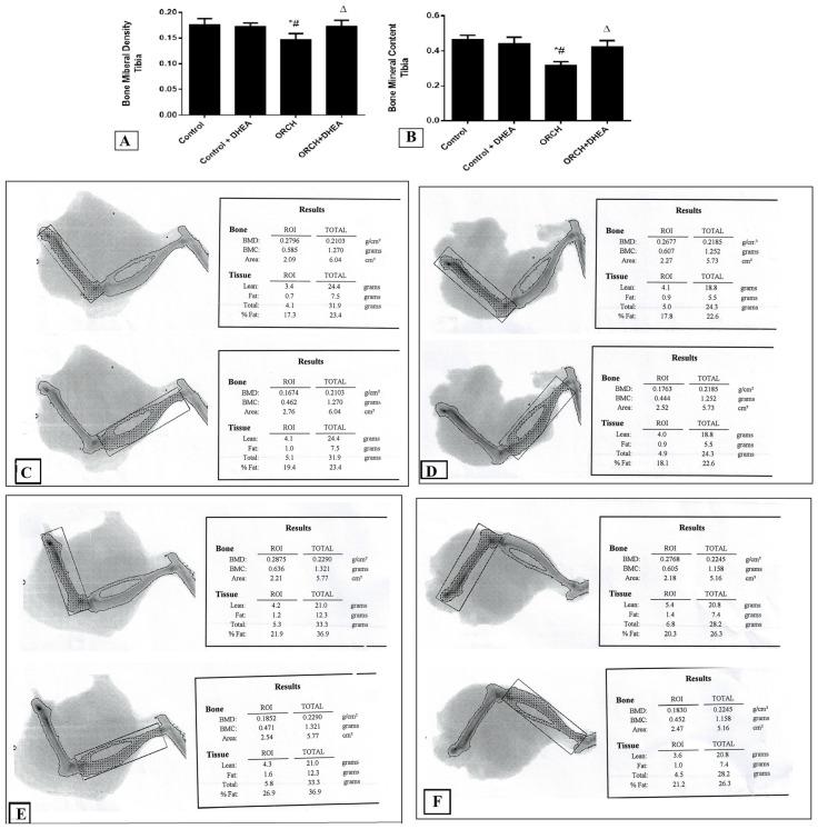 https://cdn.ncbi.nlm.nih.gov/pmc/blobs/96e3/7711937/23f4868ca4f2/vetsci-07-00185-g002.jpg