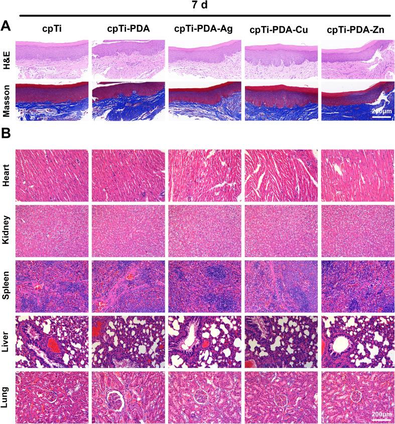 https://cdn.ncbi.nlm.nih.gov/pmc/blobs/96e5/12036513/6f1775ee4de2/d5ra00301f-f7.jpg