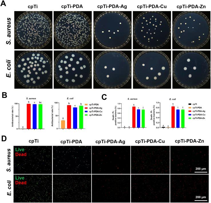 https://cdn.ncbi.nlm.nih.gov/pmc/blobs/96e5/12036513/7e7adf482ab4/d5ra00301f-f5.jpg