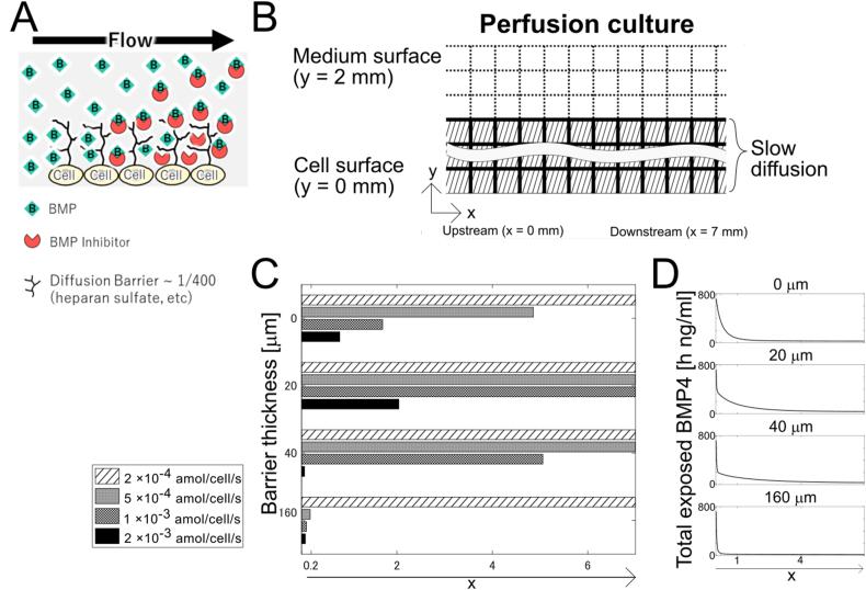 https://cdn.ncbi.nlm.nih.gov/pmc/blobs/96e5/8717143/0d3c98127937/gr4.jpg