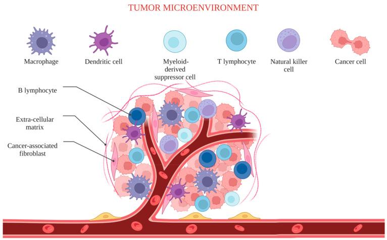 https://cdn.ncbi.nlm.nih.gov/pmc/blobs/96e6/10688172/efe7547fb844/ao3c04134_0001.jpg