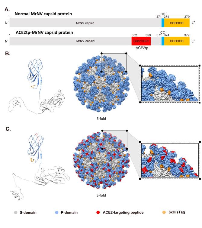 https://cdn.ncbi.nlm.nih.gov/pmc/blobs/96e6/11682422/1dfaa2281106/41598_2024_83024_Fig1_HTML.jpg