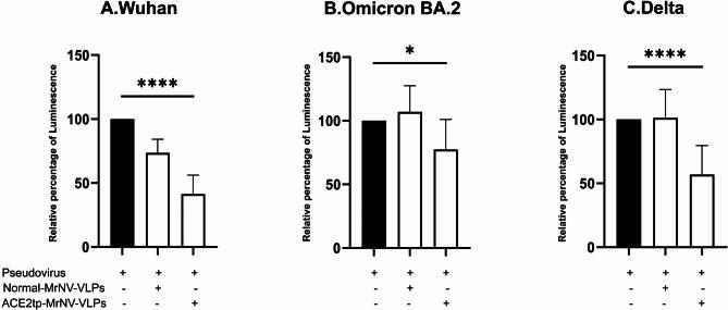 https://cdn.ncbi.nlm.nih.gov/pmc/blobs/96e6/11682422/9e5a0409e1d8/41598_2024_83024_Fig5_HTML.jpg