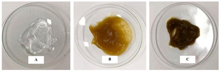 https://cdn.ncbi.nlm.nih.gov/pmc/blobs/96e6/12196441/9b159ba8e37b/pharmaceutics-17-00780-g003.jpg