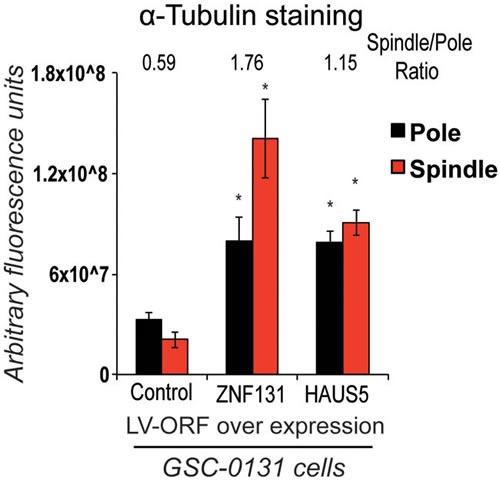 https://cdn.ncbi.nlm.nih.gov/pmc/blobs/96e7/5564707/b32f83b77e71/oncotarget-08-48545-g005.jpg