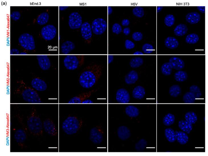 https://cdn.ncbi.nlm.nih.gov/pmc/blobs/96e8/7650791/2105ab7216bb/cancers-12-02732-g002a.jpg