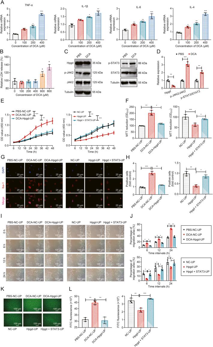 https://cdn.ncbi.nlm.nih.gov/pmc/blobs/96eb/12104701/0f00c57ee4f7/gr11.jpg