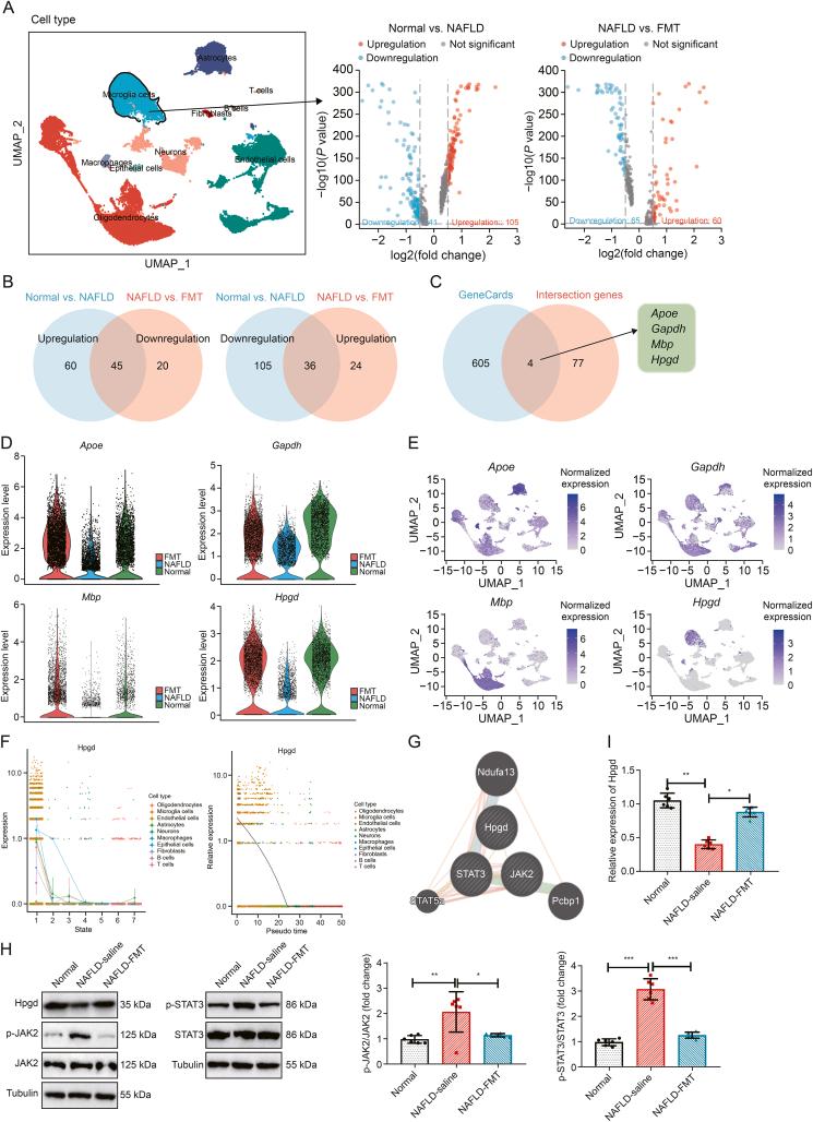 https://cdn.ncbi.nlm.nih.gov/pmc/blobs/96eb/12104701/25fda2e9059b/gr10.jpg