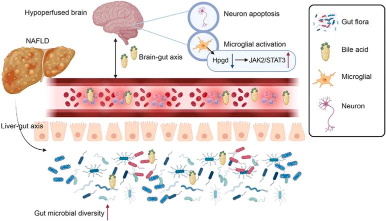 https://cdn.ncbi.nlm.nih.gov/pmc/blobs/96eb/12104701/34cd717569ed/ga1.jpg