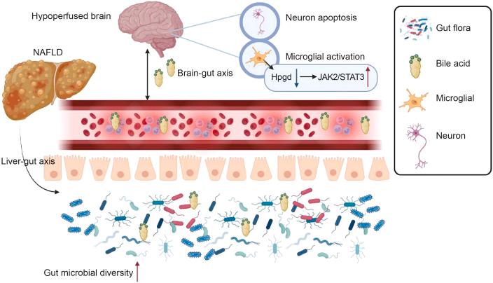 https://cdn.ncbi.nlm.nih.gov/pmc/blobs/96eb/12104701/3cb94c610dcd/gr14.jpg