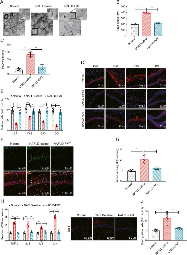https://cdn.ncbi.nlm.nih.gov/pmc/blobs/96eb/12104701/40fcb1a8bb18/gr8.jpg