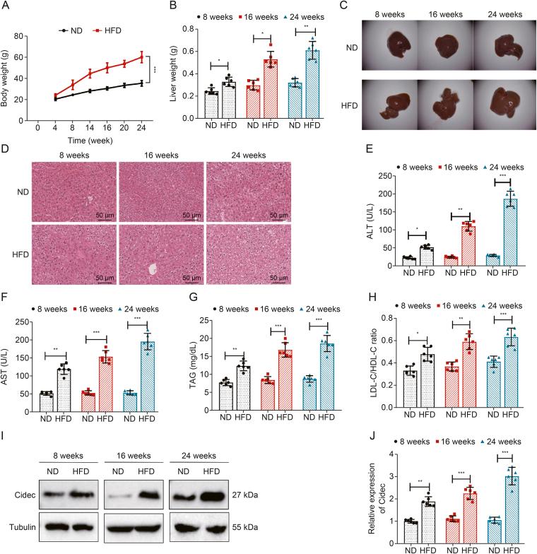 https://cdn.ncbi.nlm.nih.gov/pmc/blobs/96eb/12104701/9ba779d00eb2/gr3.jpg