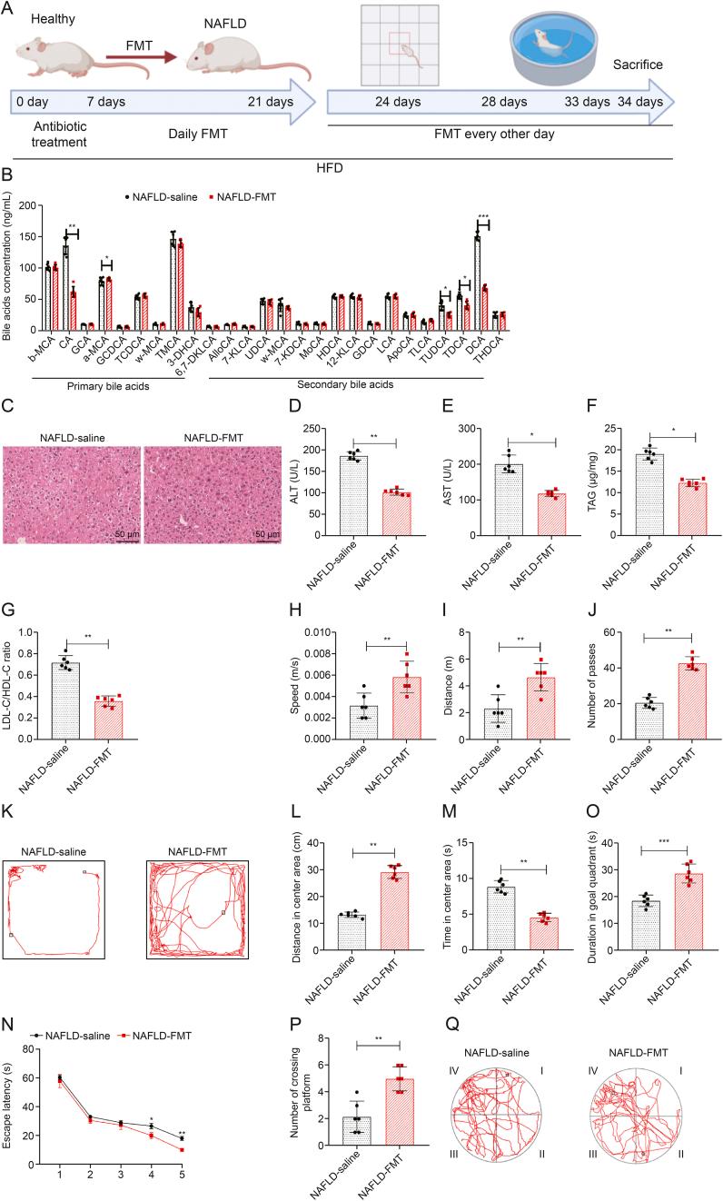 https://cdn.ncbi.nlm.nih.gov/pmc/blobs/96eb/12104701/a341401b806c/gr7.jpg