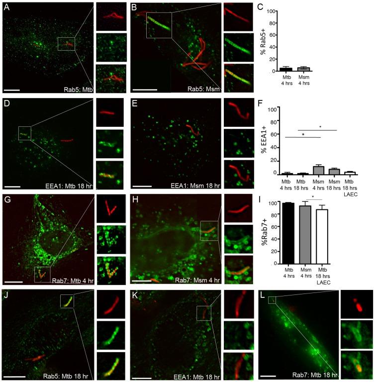 https://cdn.ncbi.nlm.nih.gov/pmc/blobs/96eb/4020835/1b558bdfb879/pone.0097515.g004.jpg
