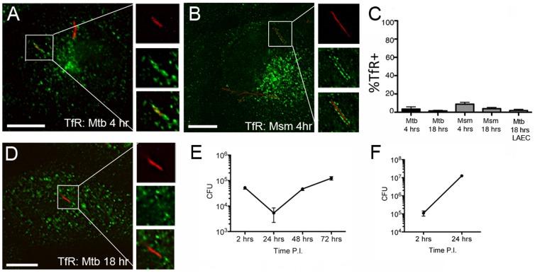 https://cdn.ncbi.nlm.nih.gov/pmc/blobs/96eb/4020835/371499f092e0/pone.0097515.g006.jpg