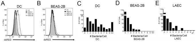 https://cdn.ncbi.nlm.nih.gov/pmc/blobs/96eb/4020835/c797c0ec78bc/pone.0097515.g001.jpg