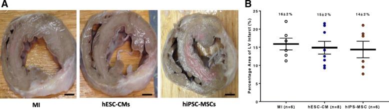 https://cdn.ncbi.nlm.nih.gov/pmc/blobs/96ec/6407247/d478dd513f14/13287_2019_1183_Fig2_HTML.jpg