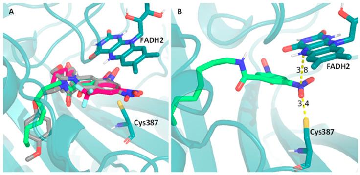 https://cdn.ncbi.nlm.nih.gov/pmc/blobs/96ed/11124399/410eaa742598/pharmaceuticals-17-00608-g004.jpg