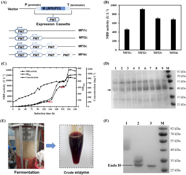 https://cdn.ncbi.nlm.nih.gov/pmc/blobs/96ee/10992195/d3175d3909d4/40643_2024_751_Fig2_HTML.jpg
