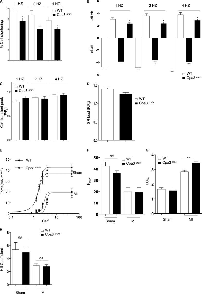 https://cdn.ncbi.nlm.nih.gov/pmc/blobs/96ef/4925026/780bf1876b28/JEM_20160081_Fig7.jpg