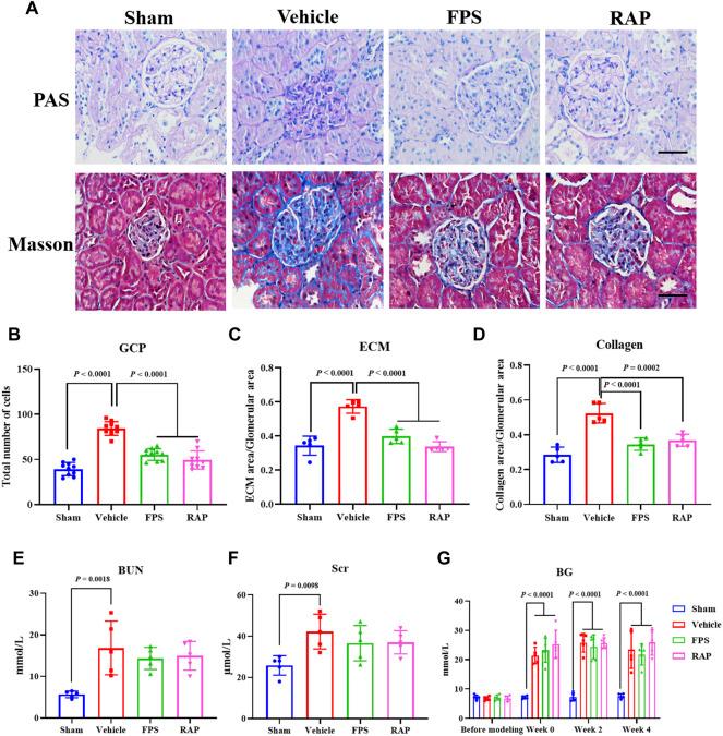 https://cdn.ncbi.nlm.nih.gov/pmc/blobs/96ef/8972405/5c886b50ace1/fphar-13-790937-g001.jpg