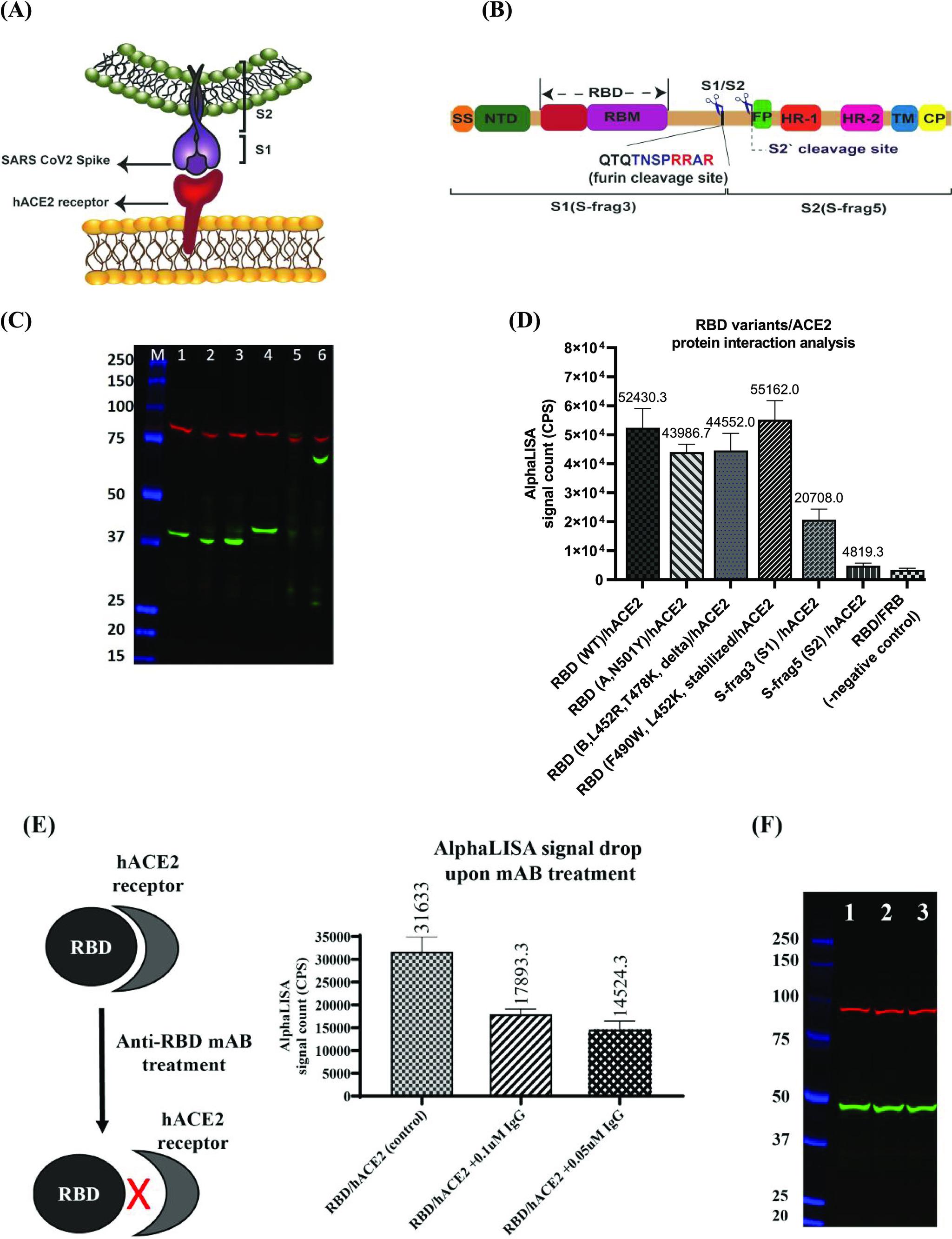 https://cdn.ncbi.nlm.nih.gov/pmc/blobs/96f0/10357528/c81994c9ad9f/ao3c01625_0004.jpg