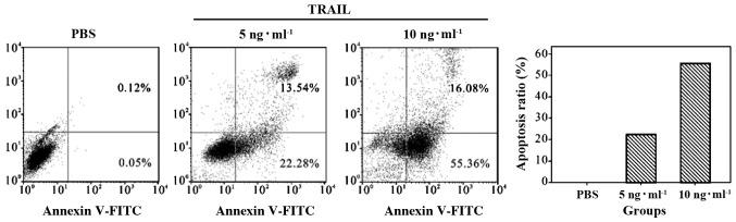 https://cdn.ncbi.nlm.nih.gov/pmc/blobs/96f1/5431394/3acc41ce7027/ol-13-05-3638-g00.jpg