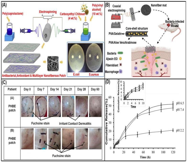 https://cdn.ncbi.nlm.nih.gov/pmc/blobs/96f2/9855805/ae7aba9a7aa5/biomolecules-13-00184-g008.jpg