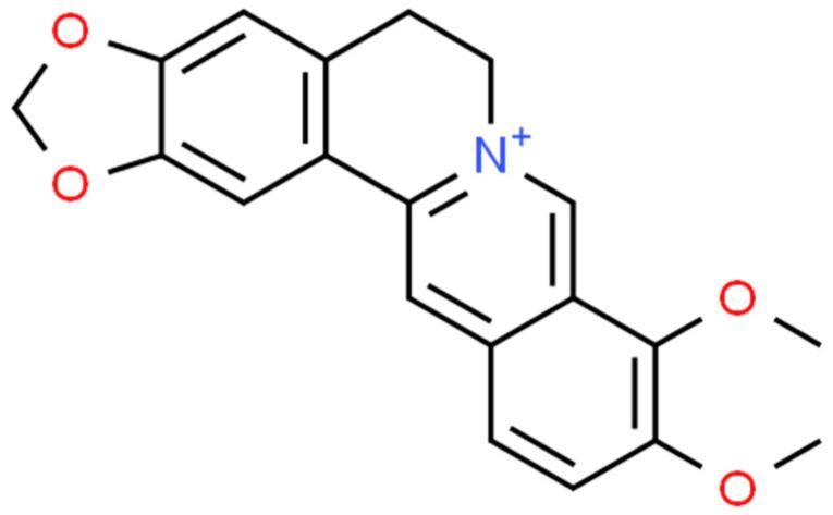 https://cdn.ncbi.nlm.nih.gov/pmc/blobs/96f5/10889580/798260a827ed/ijms-25-02100-g001.jpg