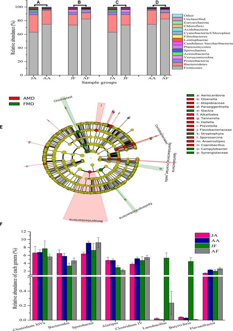 https://cdn.ncbi.nlm.nih.gov/pmc/blobs/96f8/5376572/d3c22bf99834/fmicb-08-00572-g002.jpg