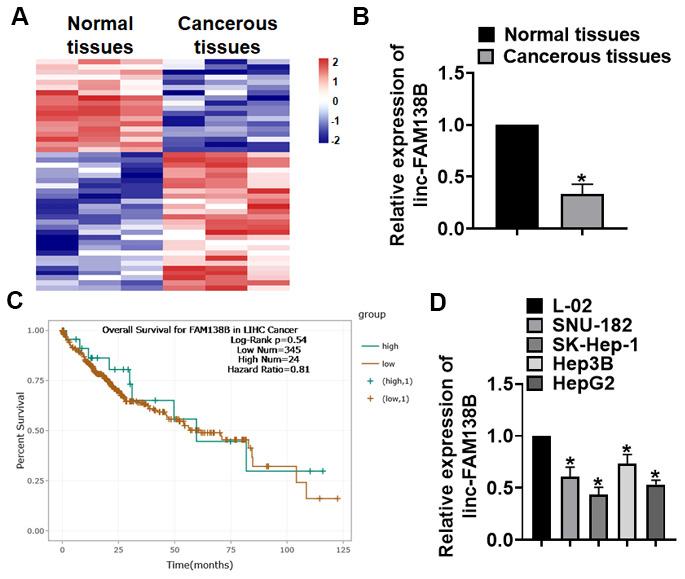 https://cdn.ncbi.nlm.nih.gov/pmc/blobs/96f8/7803541/5ad5f31326ed/aging-12-202430-g001.jpg