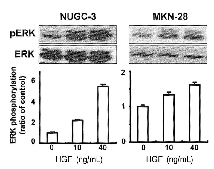 https://cdn.ncbi.nlm.nih.gov/pmc/blobs/96fa/3891059/3bbc5d261d91/kjim-21-20-g007.jpg