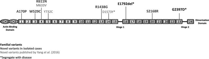 https://cdn.ncbi.nlm.nih.gov/pmc/blobs/96fb/8747482/b7ef676aab6f/abjs-480-421-g001.jpg