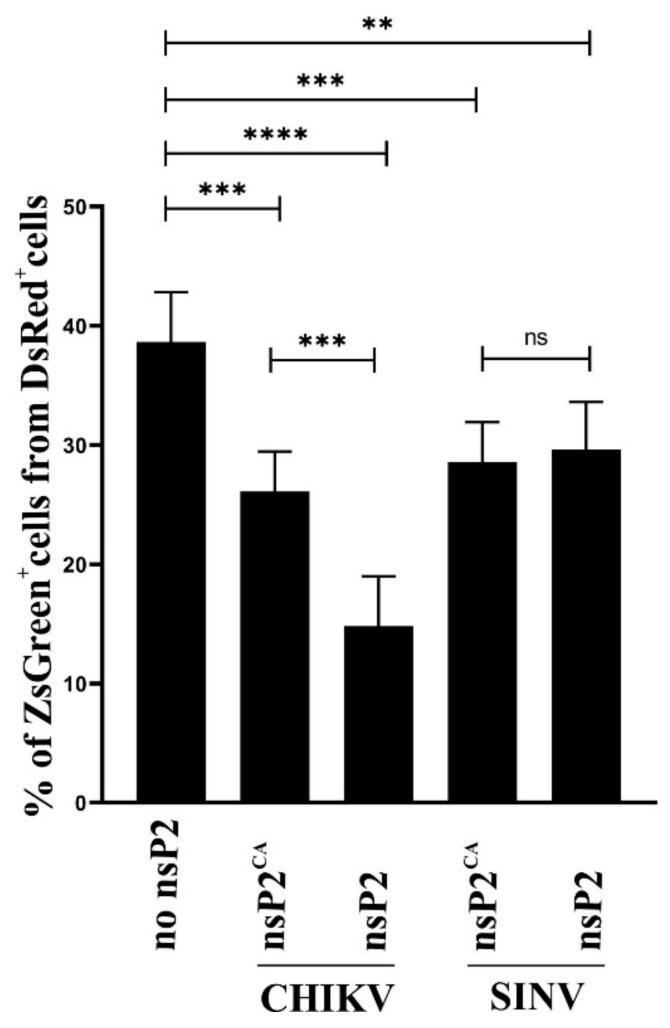 https://cdn.ncbi.nlm.nih.gov/pmc/blobs/96fc/9228716/49b6720183e9/viruses-14-01327-g003.jpg