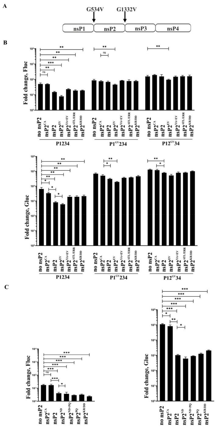 https://cdn.ncbi.nlm.nih.gov/pmc/blobs/96fc/9228716/50d8b24800b7/viruses-14-01327-g002.jpg