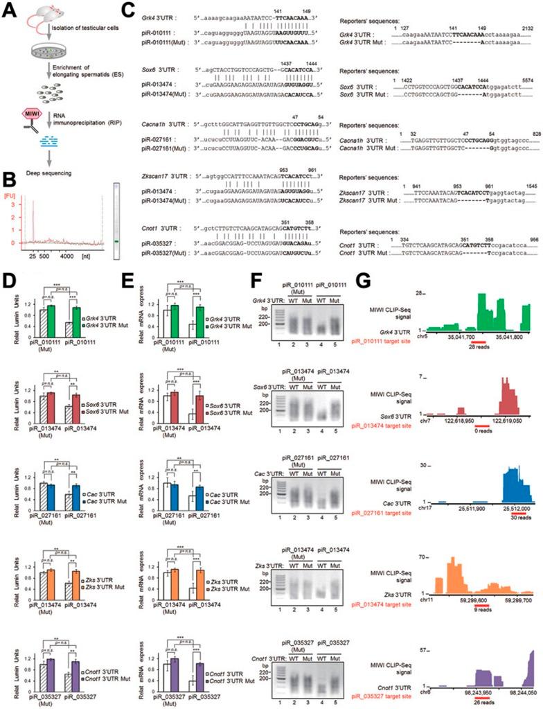 https://cdn.ncbi.nlm.nih.gov/pmc/blobs/96fd/4042167/582f8c68952d/cr201441f1.jpg