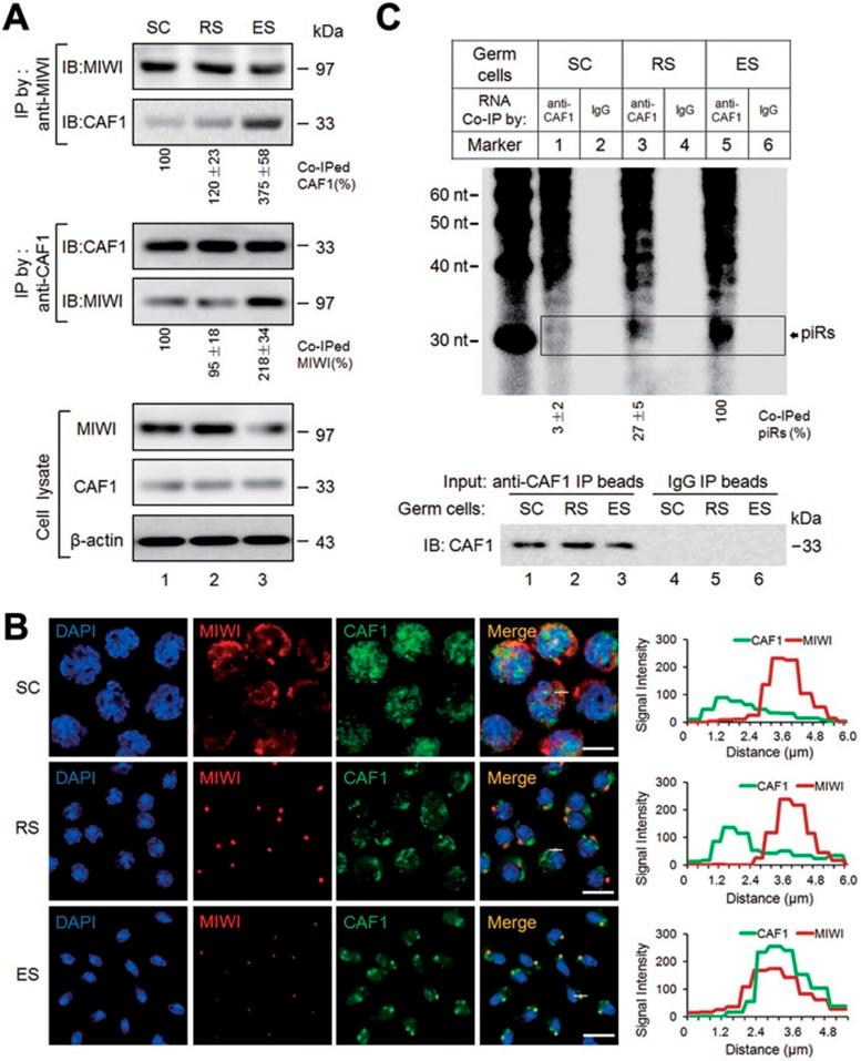 https://cdn.ncbi.nlm.nih.gov/pmc/blobs/96fd/4042167/f42a66cdc756/cr201441f4.jpg