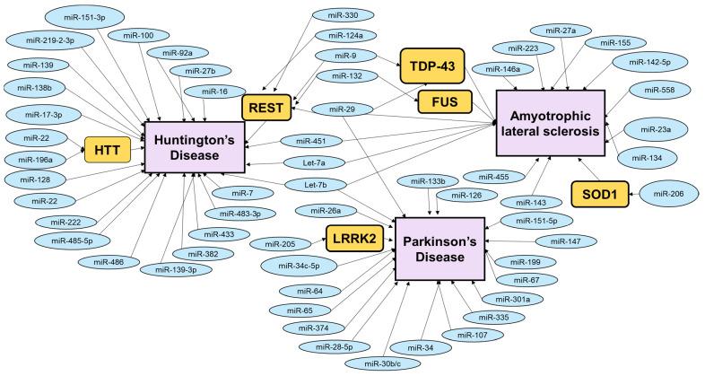 https://cdn.ncbi.nlm.nih.gov/pmc/blobs/96fd/8951370/3027144577f0/genes-13-00425-g002.jpg