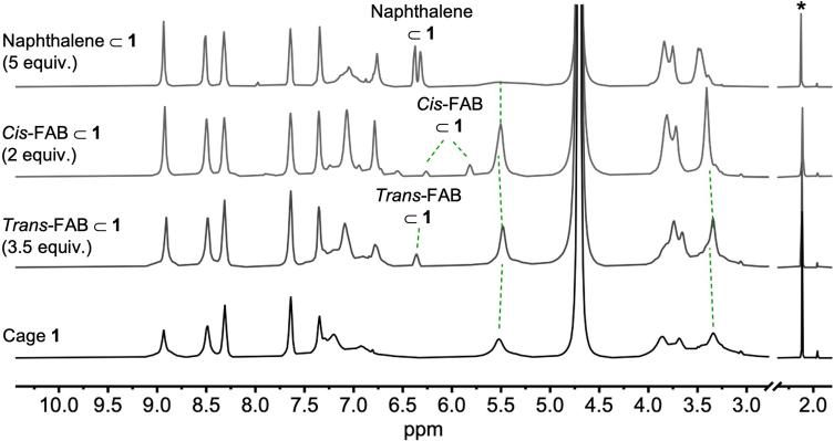 https://cdn.ncbi.nlm.nih.gov/pmc/blobs/96ff/11374679/b4bc4cd67698/41557_2024_1549_Fig4_ESM.jpg