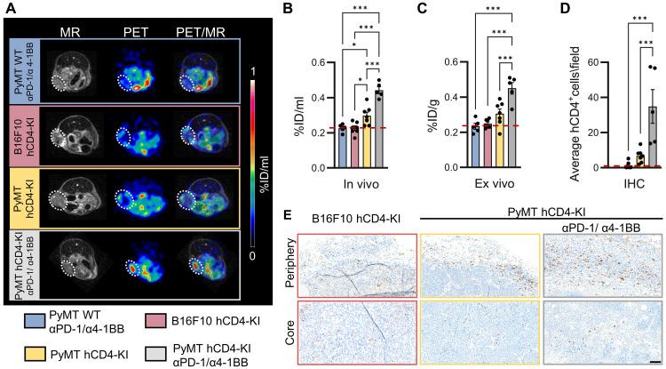 https://cdn.ncbi.nlm.nih.gov/pmc/blobs/96ff/12190014/8d7d5d2cbe9a/sciadv.adw1924-f2.jpg