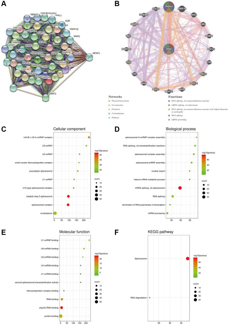 https://cdn.ncbi.nlm.nih.gov/pmc/blobs/9700/10637785/5bb5d7d3f830/aging-15-205134-g009.jpg