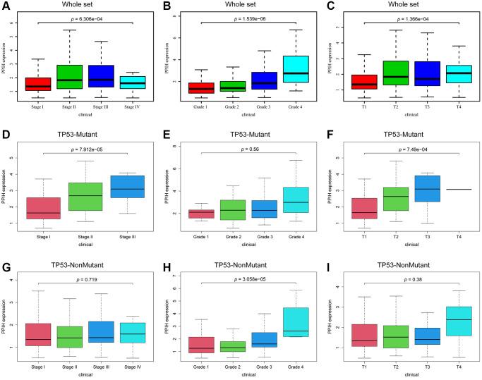 https://cdn.ncbi.nlm.nih.gov/pmc/blobs/9700/10637785/860a4872f775/aging-15-205134-g005.jpg